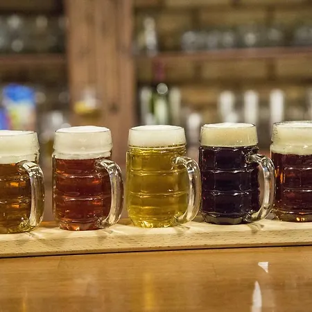Harley Pub بيت ضيافة أوتروكوفيتسي