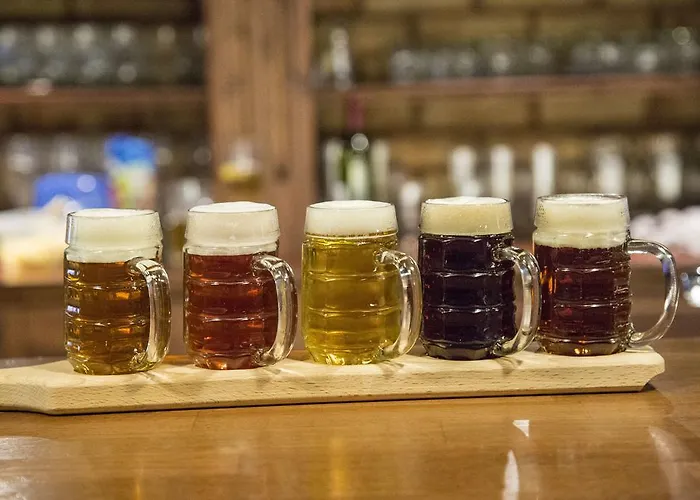 Harley Pub بيت ضيافة أوتروكوفيتسي